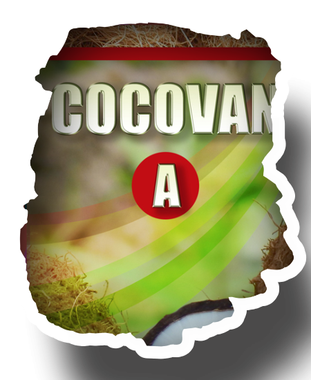 etiqueta de Cocovan A