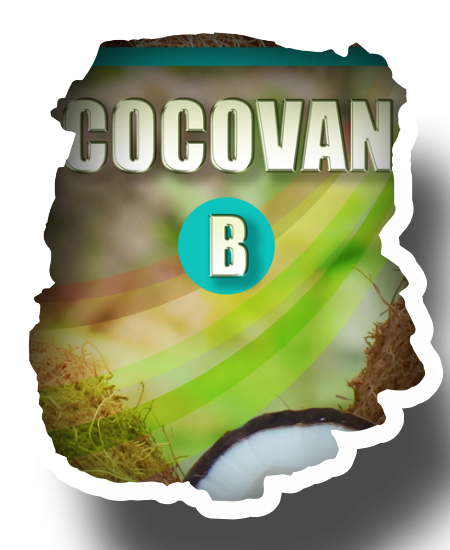 etiqueta de Cocovan B