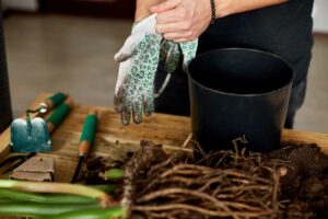 Aprende a hacer un lavado de raíces